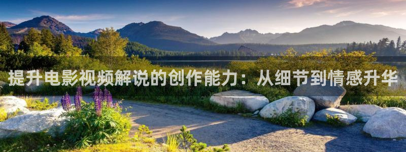 神马电影在线手机观看