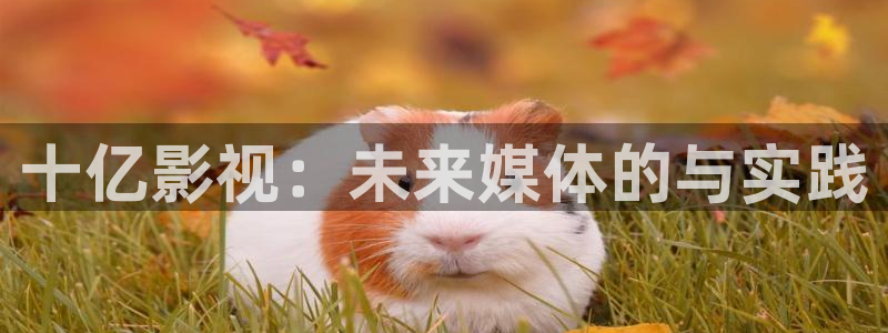 神马影院我不卡院