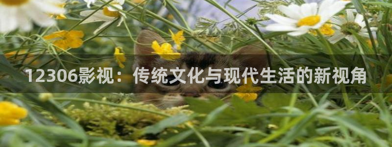 神马影院在线手机影院在线播放版