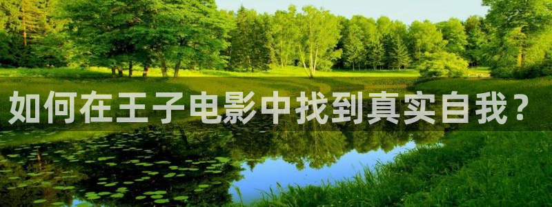 神马影视在线观
