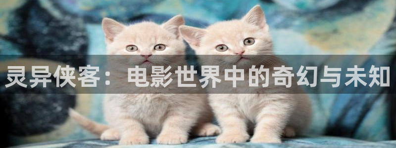 神马是爱情 电影