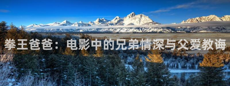神马免费理论电影