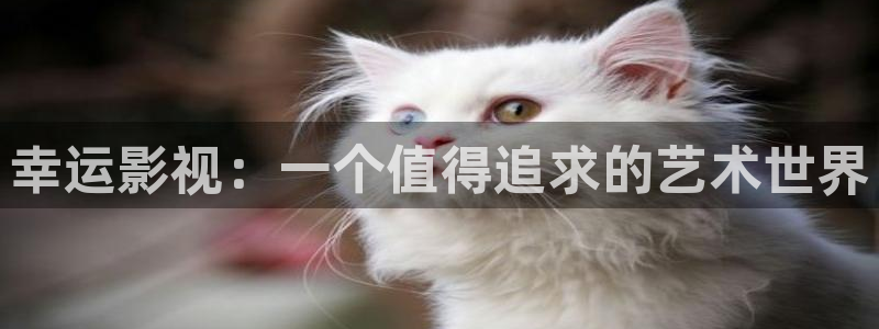 妈妈的朋友3在线观看神马影院