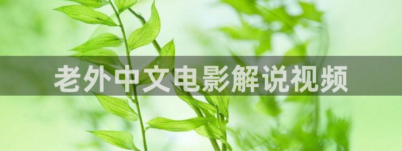 神马影院达达兔子