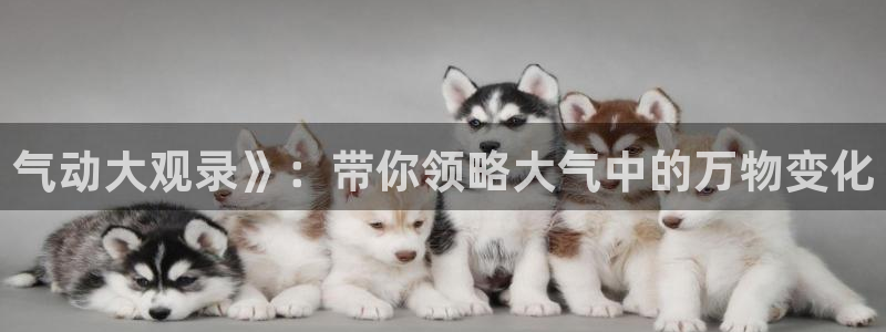 免费电影神马
