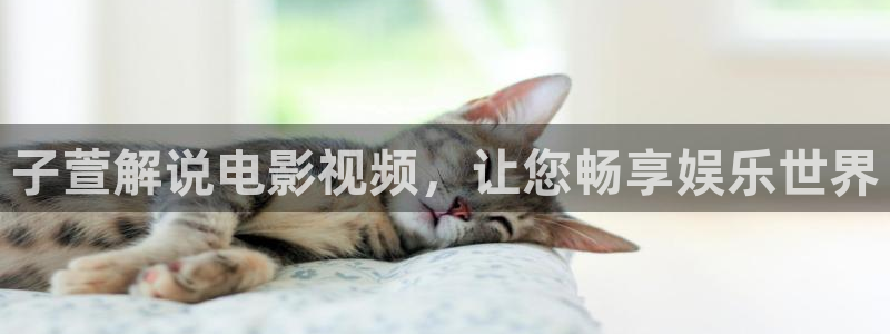 神马影院在线观看的