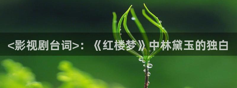 神马不卡影院久久影院