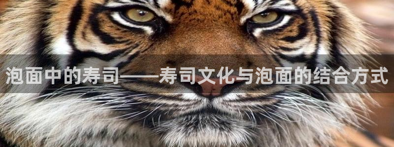 神马电院我不卡