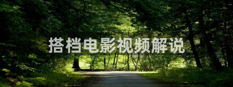 神马电影嫂子的职业