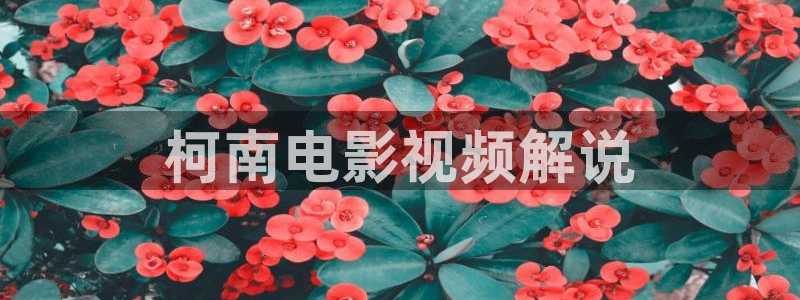 电影免费在线观看神马