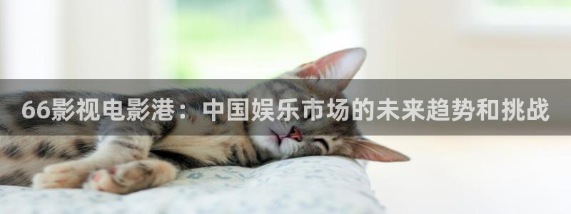 神马电影dy888午夜达达兔