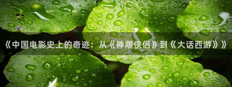 神马影院在线伦理视频