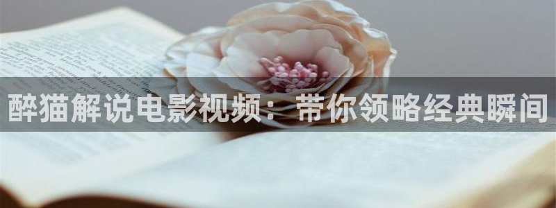 日韩神马电影