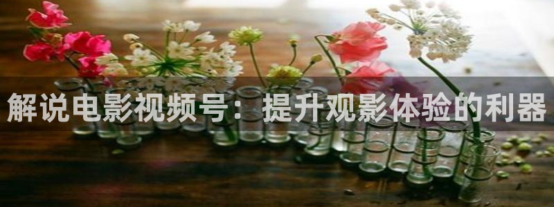神马欧洲电影