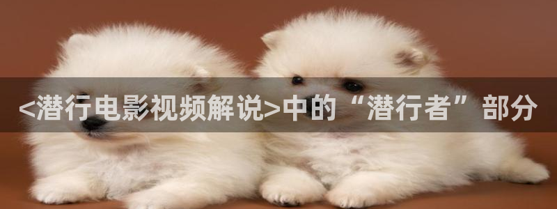 神马影院电视剧免费观看完整版大梦归离