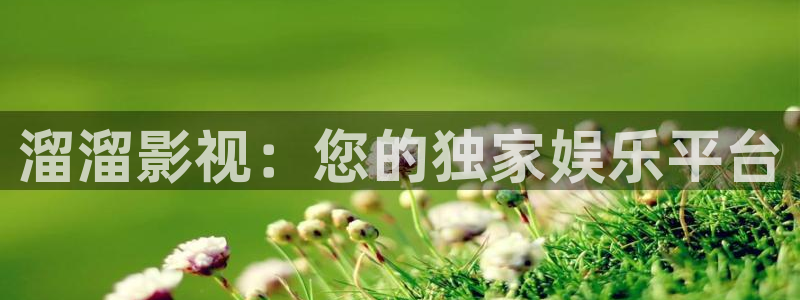 神马电影网神马影院达达兔影院