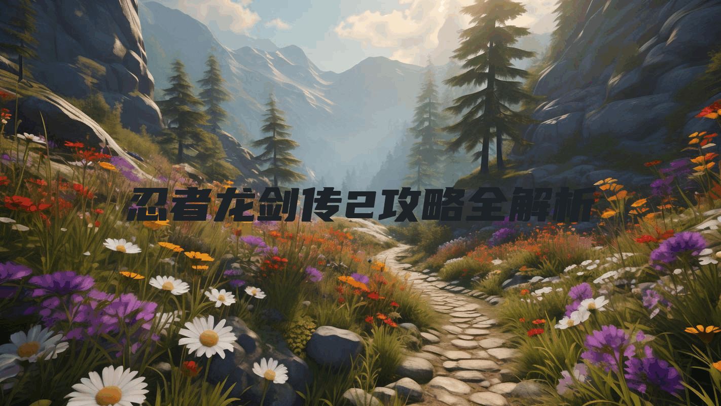 忍者龙剑传2攻略全解析