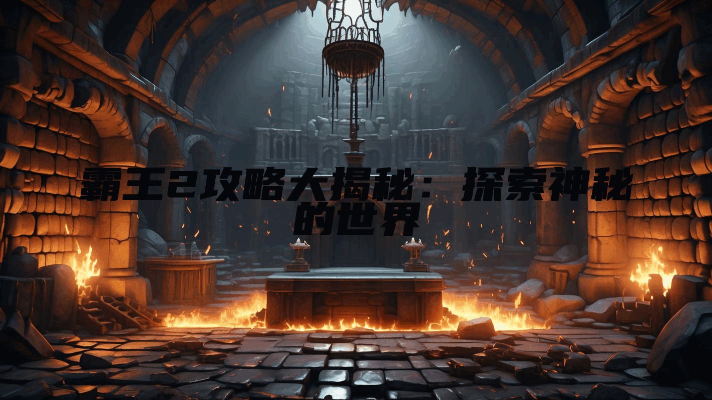 霸王2攻略大揭秘：探索神秘的世界