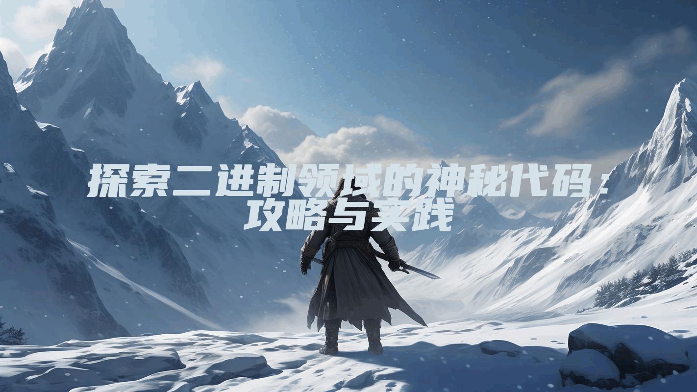 探索二进制领域的神秘代码：攻略与实践
