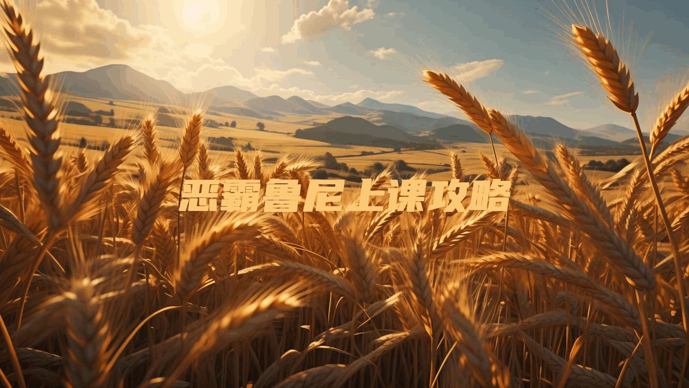 恶霸鲁尼上课攻略