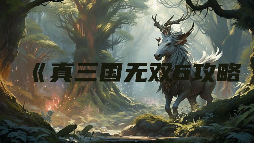 《真三国无双6攻略