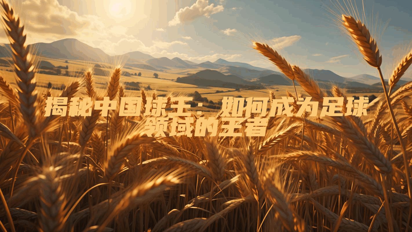 揭秘中国球王：如何成为足球领域的王者