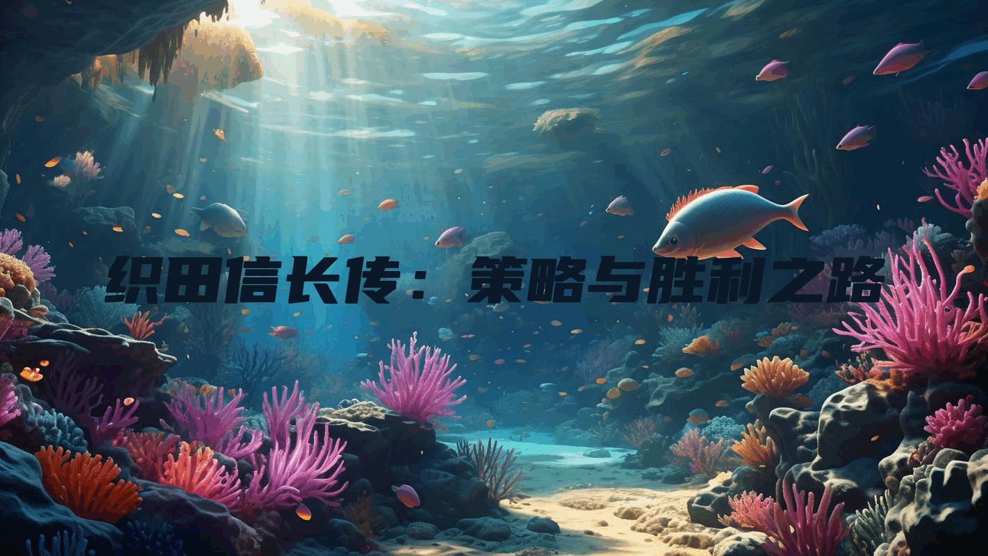 织田信长传：策略与胜利之路