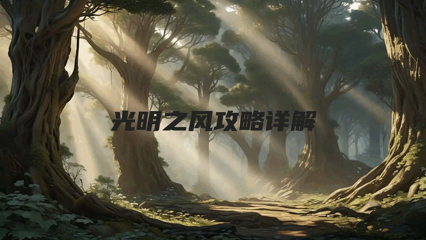 光明之风攻略详解