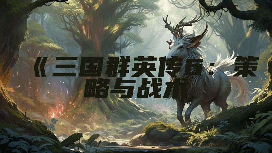 《三国群英传6:策略与战术