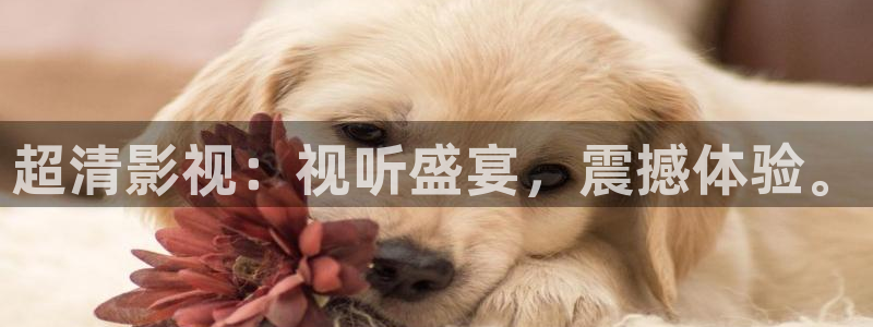 神马影视大全下载