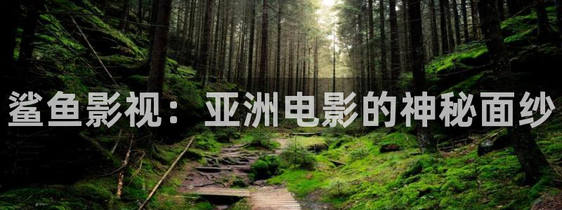 神马影院年轻的嫂子