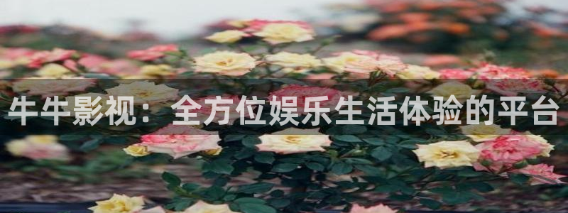 神马福利电影网