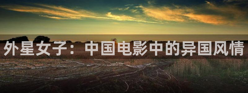 神马影院在线观看达达兔影院