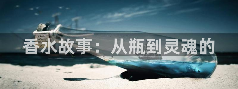 神马午夜电影伦理