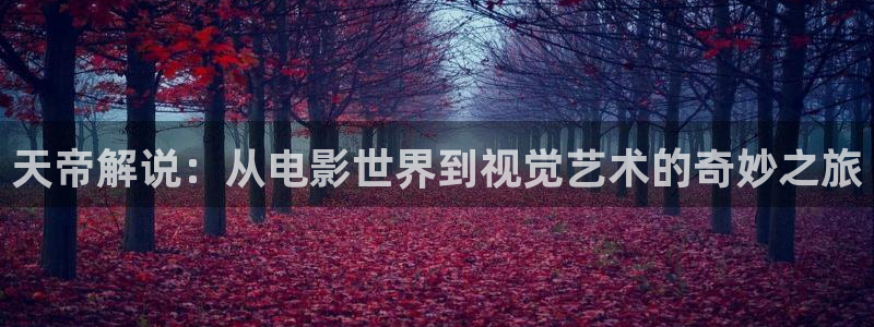 神马电影八戒院电影在线