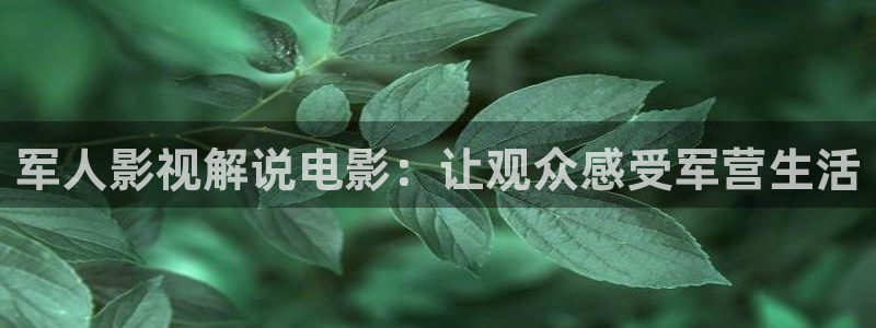 神马影院琪琪电视剧在线观看