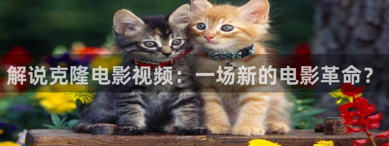 神马电影朋友的妈妈