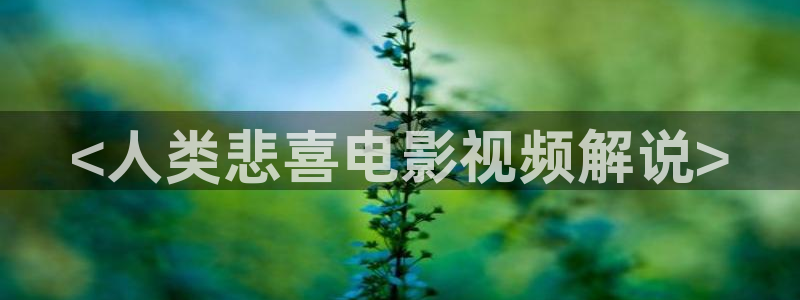 光棍天堂手机2019版免费观看神马影院