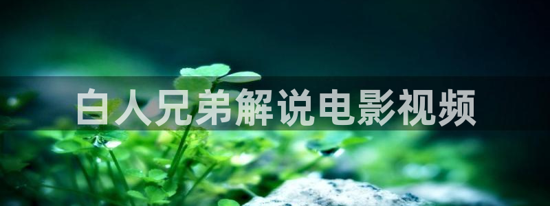 蜜桃成熟时神马影视：白人兄弟解说电影视频