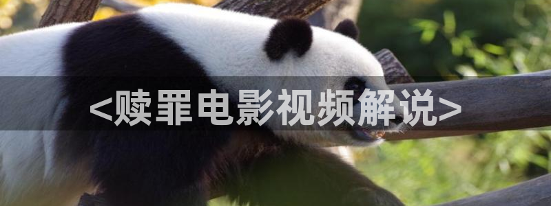 神马888不卡电影：<赎罪电影视频解说>