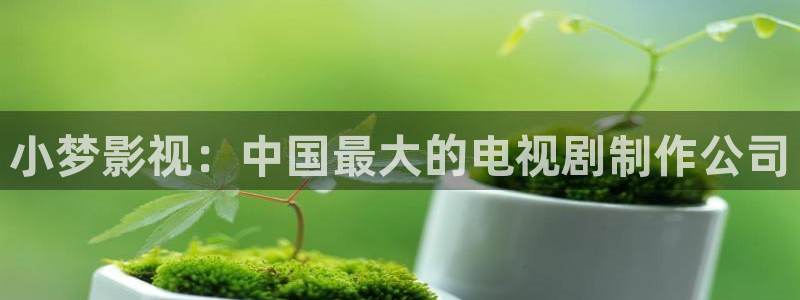 两个妈妈神马影院