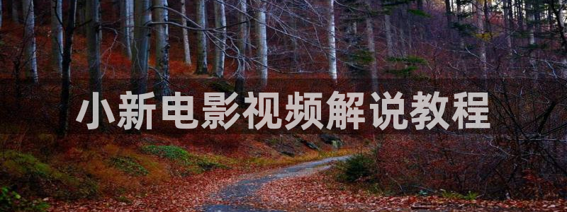 www.94sm神马影院