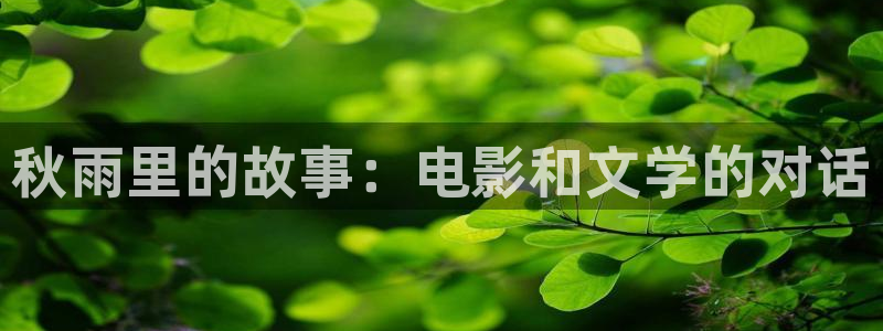 神马电影在线观看我不卡