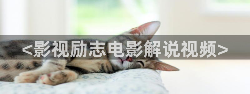 神马电影啊