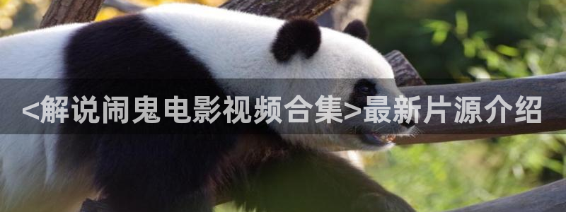 神马电影院午夜电影在线观看网