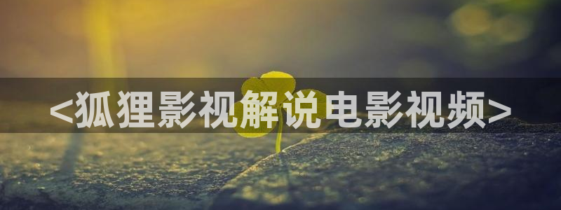 神马伦理福利