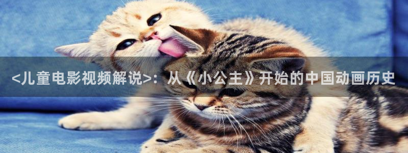 电影神马在线