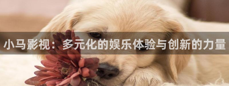 神马电影网毛片