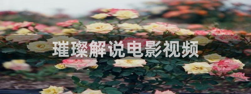 87文书影院神马影院神马
