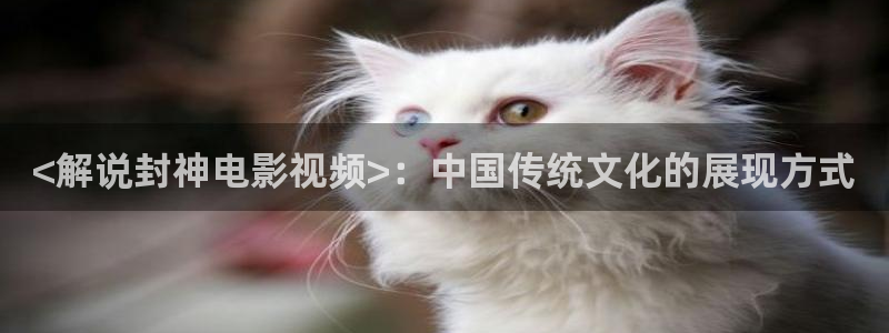 神马电影大